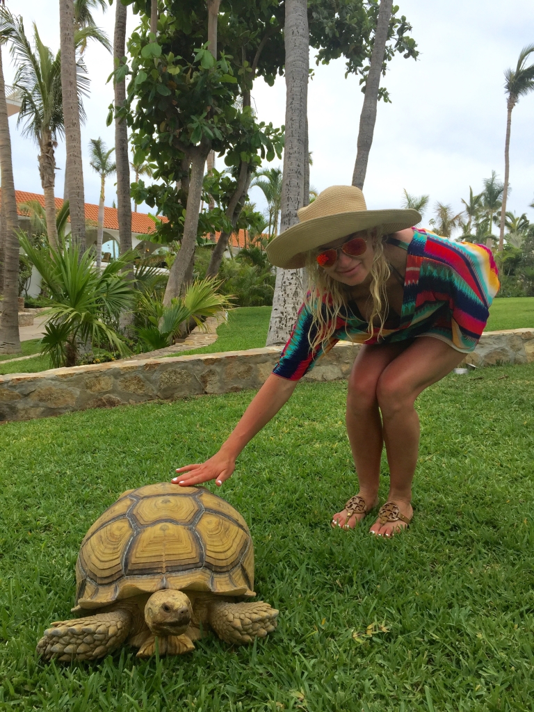 mode de vie fit shanna palmilla one&only hotel turtle