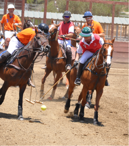 mode de vie fit shanna polo arena play tournament