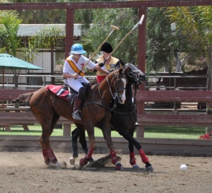 mode de vie fit shanna san diego polo club arena tournament