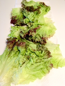 mode de vie fit shanna crispy lettuce recipe