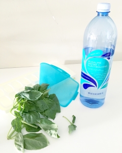 mode de vie fit shanna trader joe's finds alkalinity water fresh basil