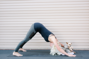 mode de vie fit shanna yoga down dog pose with her yorkies