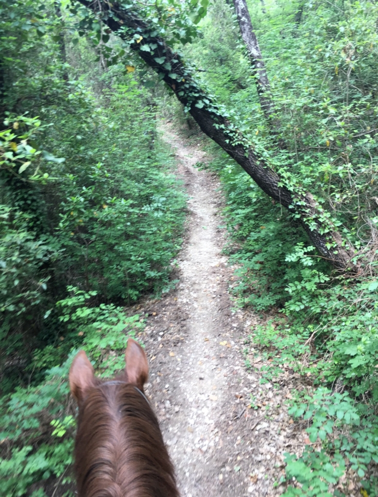 mode de vie fit shanna florence horseback ride