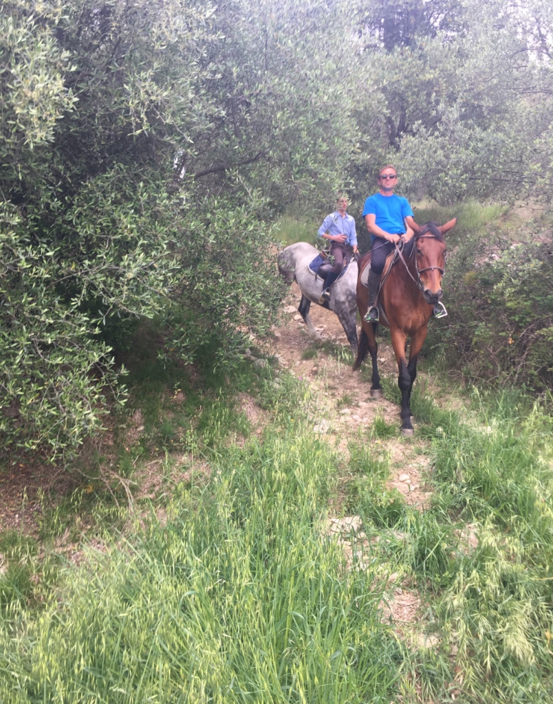 mode de vie fit shanna florence horse ride