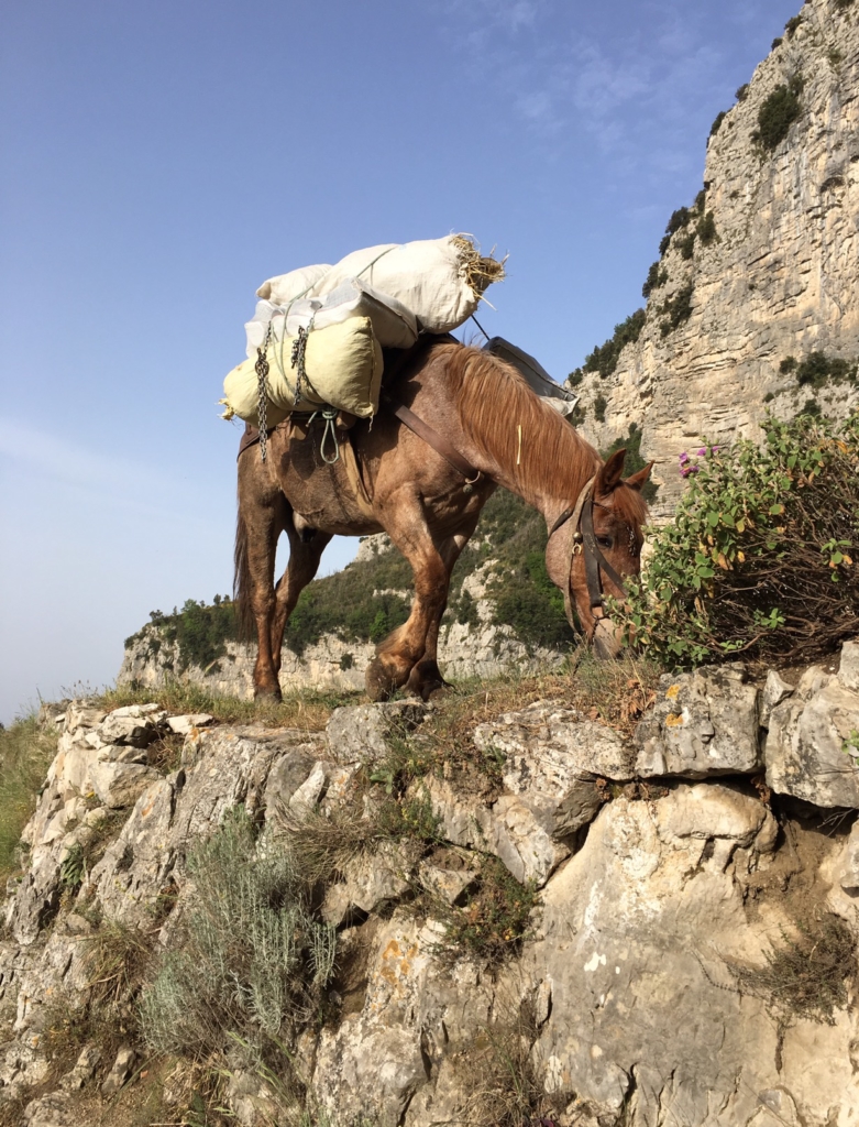 mode de vie fit shanna positano path of the gods