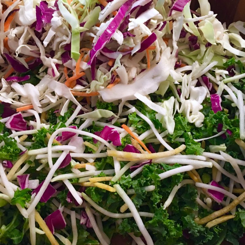 mode de vie fit shanna vegan cabbage salad